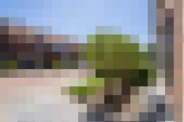 Sint Catharinastraat 15 Weert thumbnail 9