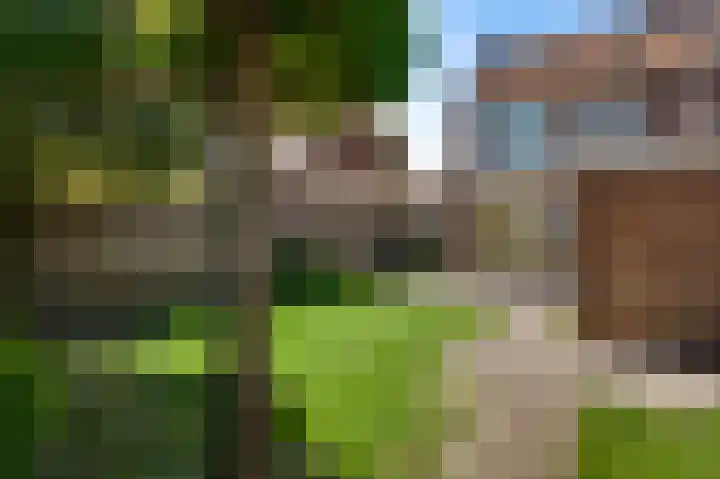 Sint Catharinastraat 16 Weert thumbnail 22