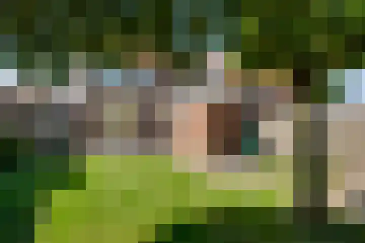 Sint Catharinastraat 16 Weert thumbnail 23