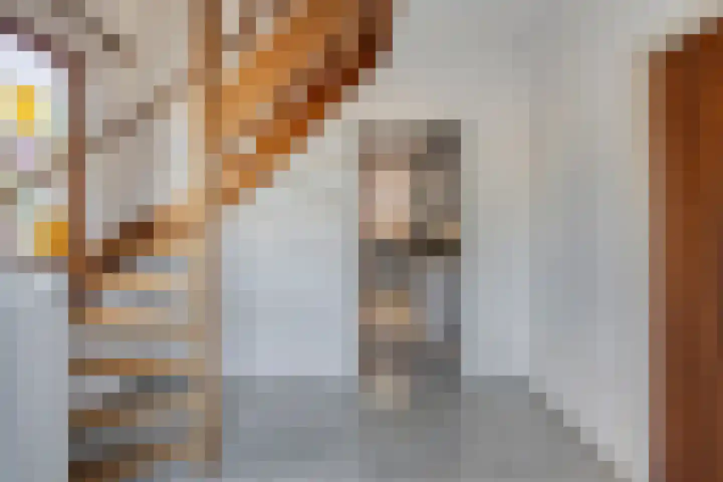 Sint Catharinastraat 2 Elsloo thumbnail 12
