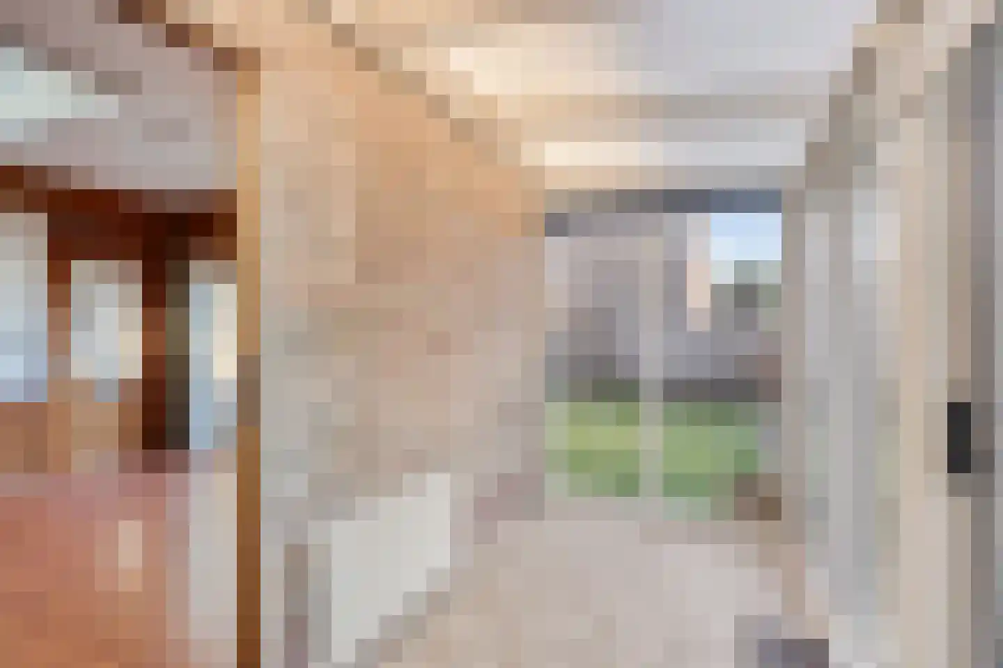 Sint Catharinastraat 2 Elsloo thumbnail 21