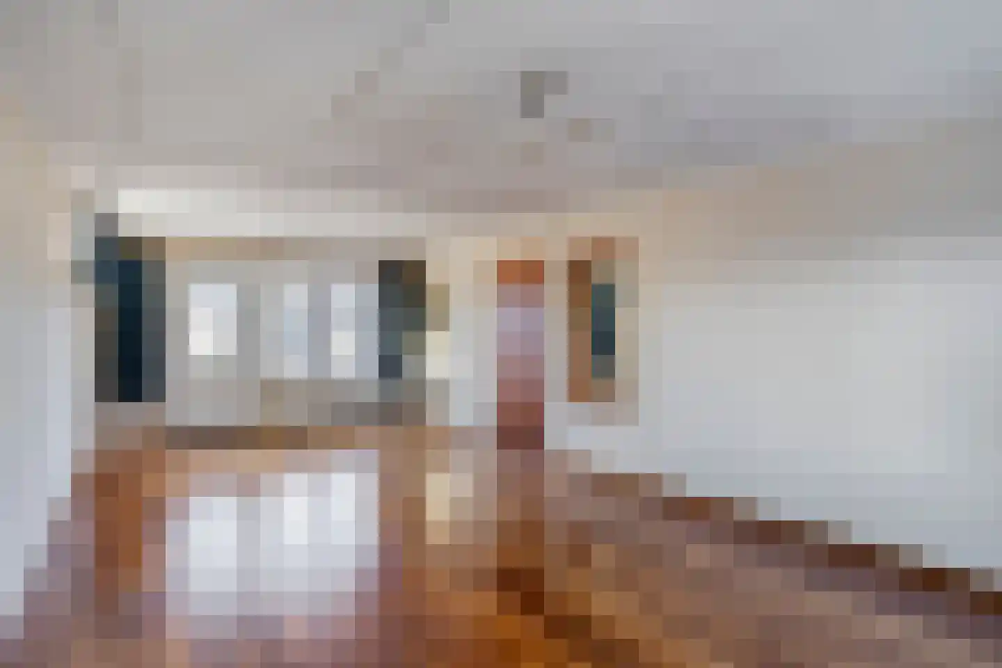 Sint Catharinastraat 2 Elsloo thumbnail 4