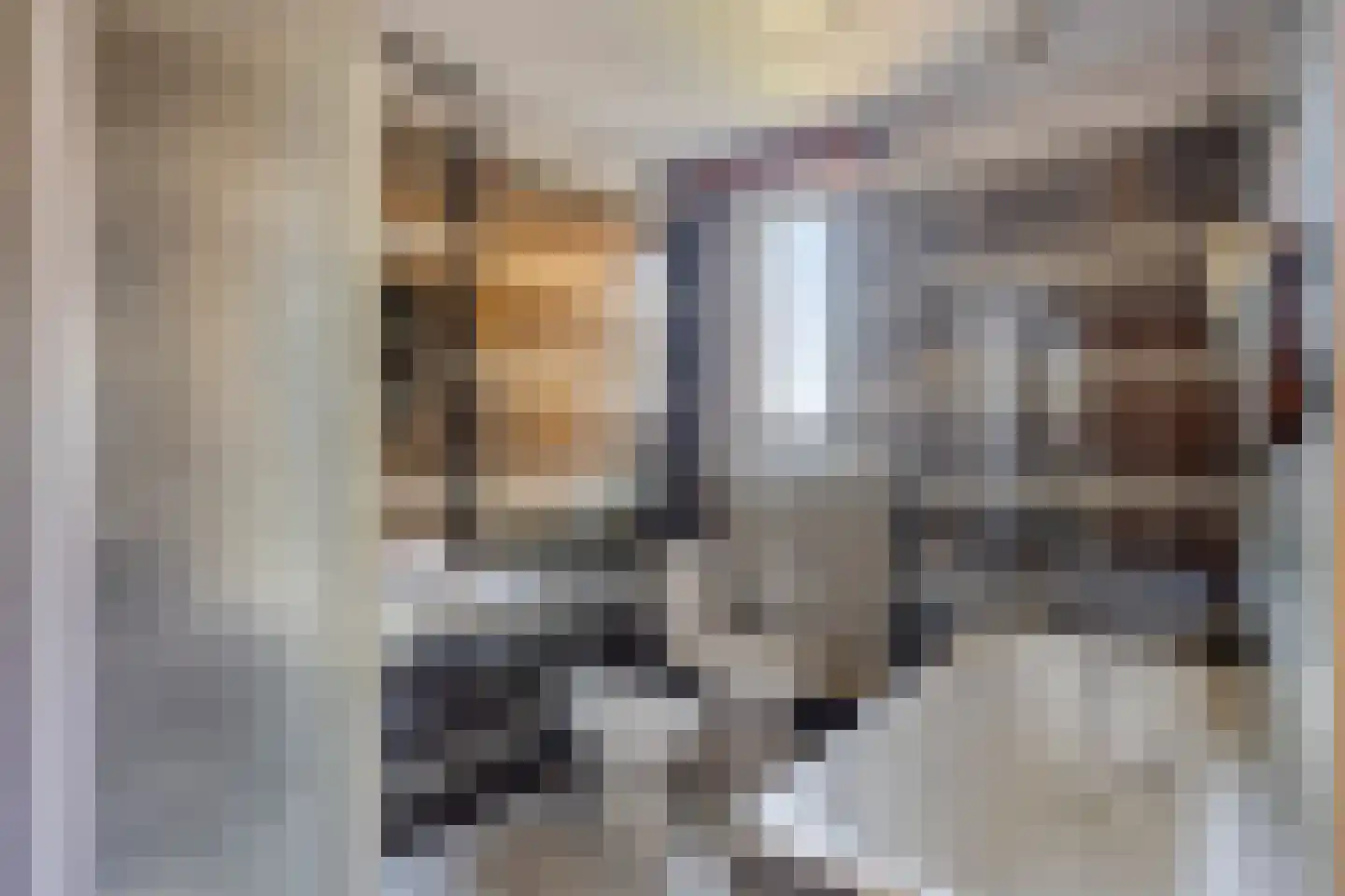 Sint Catharinastraat 2 Elsloo thumbnail 5