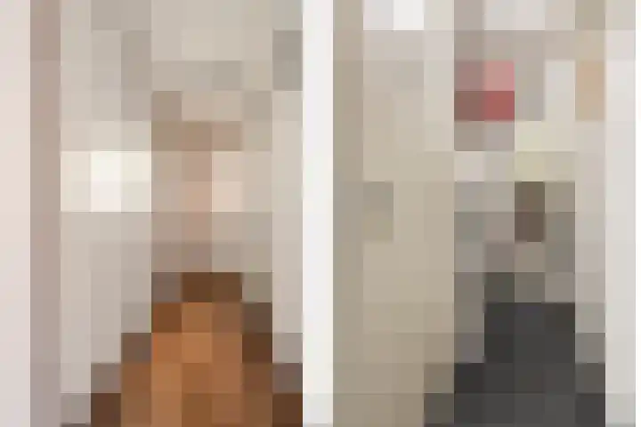 Sint Catharinastraat 3 D Vlijmen thumbnail 17
