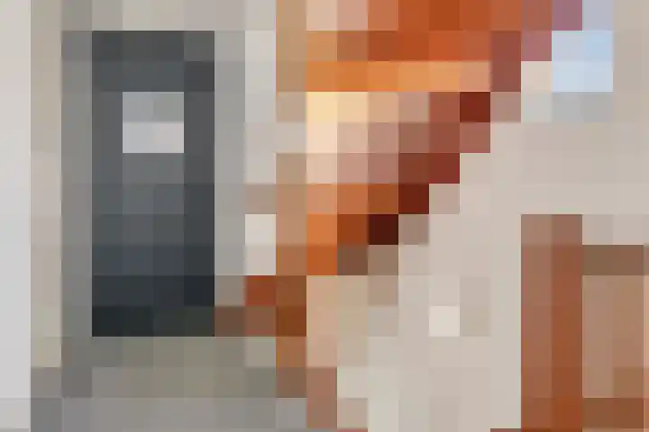 Sint Catharinastraat 3 D Vlijmen thumbnail 19