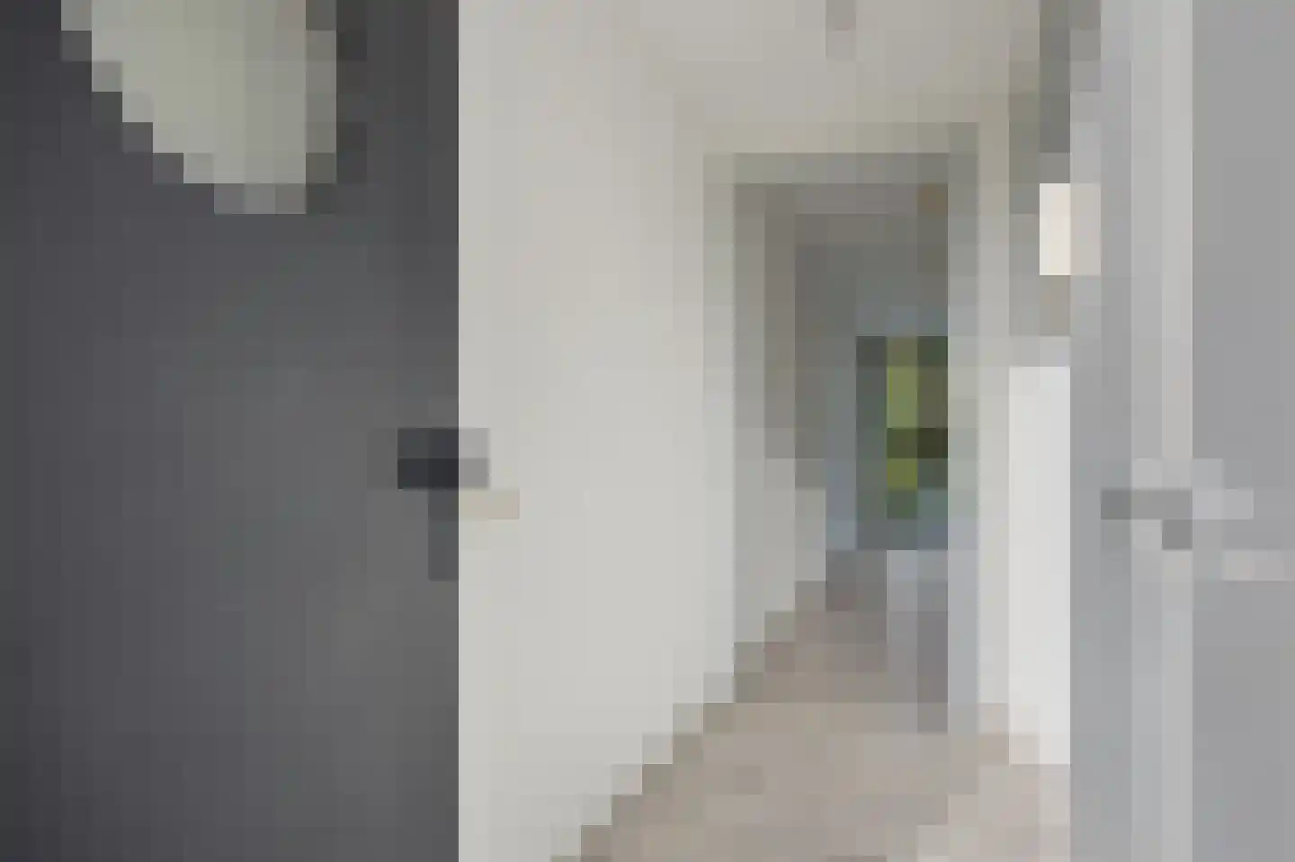 Sint Catharinastraat 3 E Vlijmen thumbnail 6