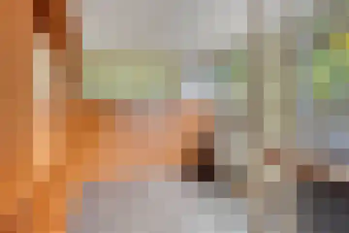 Sint Catharinastraat 43 Ulestraten thumbnail 5
