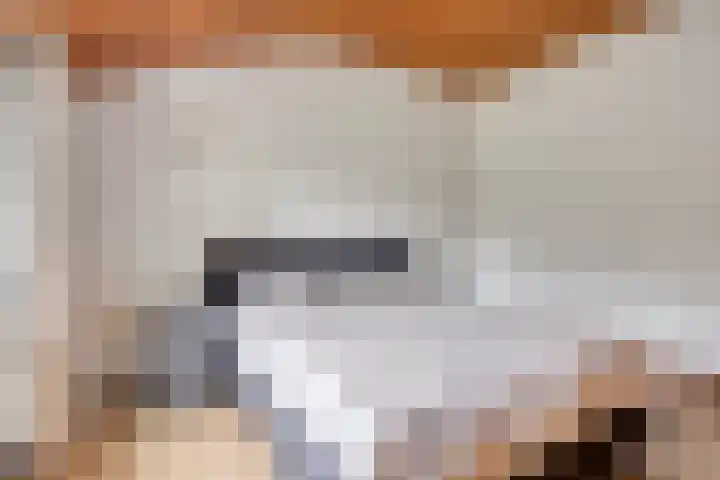 Sint Catharinastraat 43 Ulestraten thumbnail 6