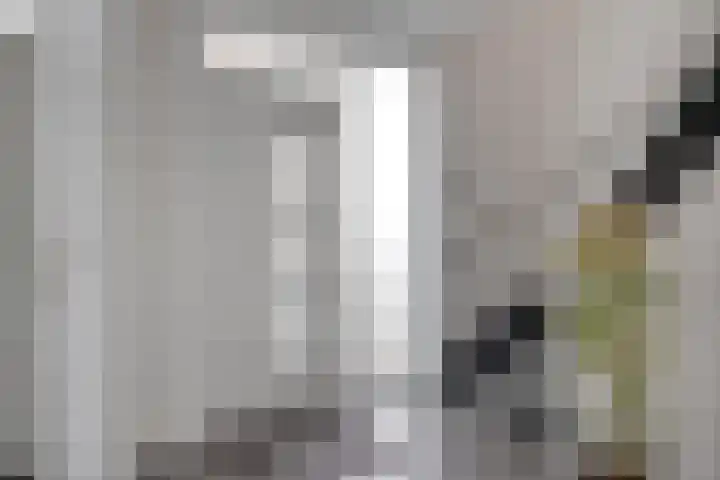 Sint Catharinastraat 7 Elsloo thumbnail 13