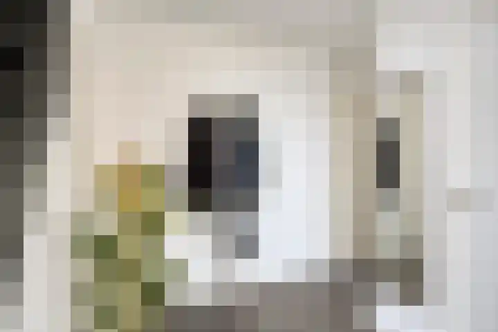 Sint Catharinastraat 7 Elsloo thumbnail 14