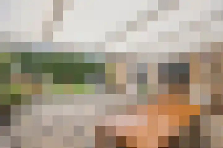 Sint Catharinastraat 7 Elsloo thumbnail 31