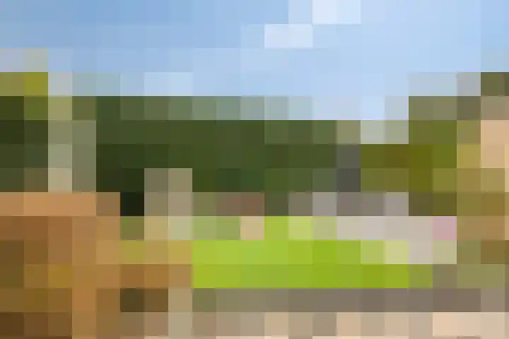 Sint Catharinastraat 7 Elsloo thumbnail 33