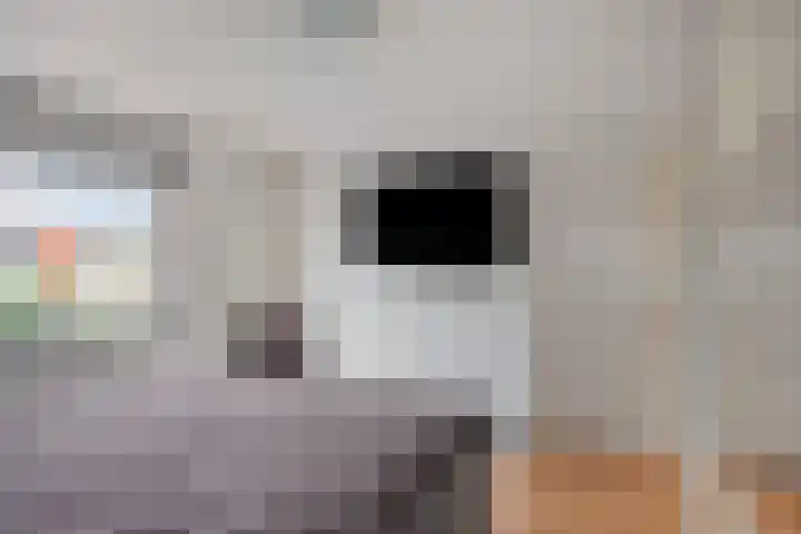 Sint Catharinastraat 7 Elsloo thumbnail 36