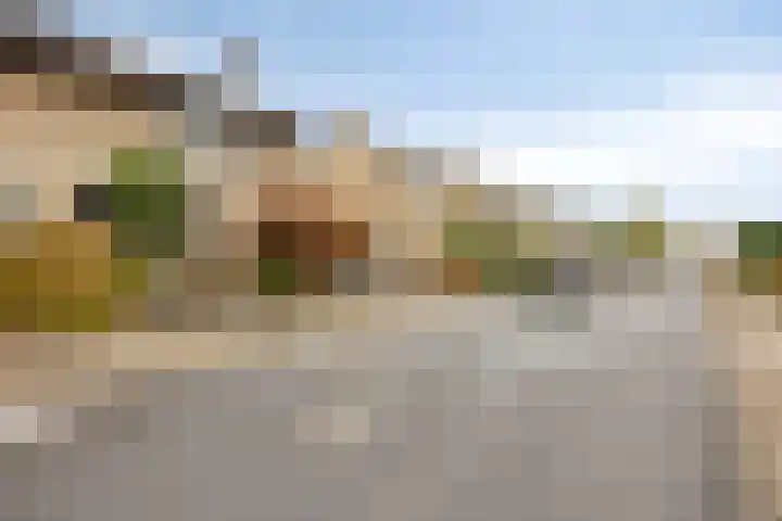 Sint Catharinastraat 7 Elsloo thumbnail 44