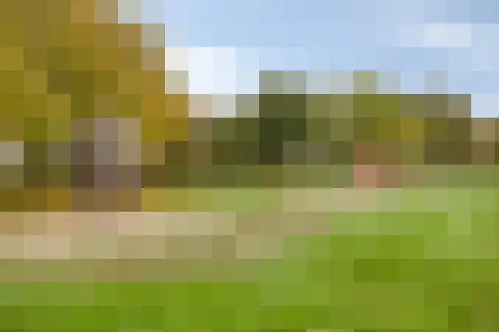 Sint Catharinastraat 7 Elsloo thumbnail 45