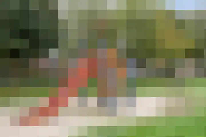 Sint Catharinastraat 7 Elsloo thumbnail 46