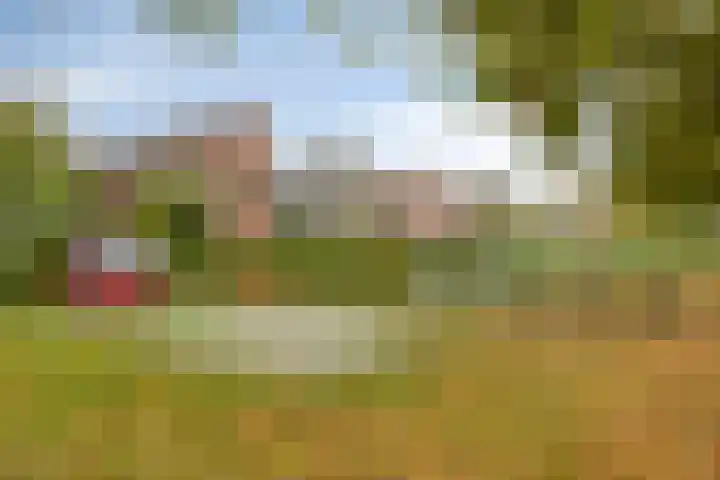 Sint Catharinastraat 7 Elsloo thumbnail 47