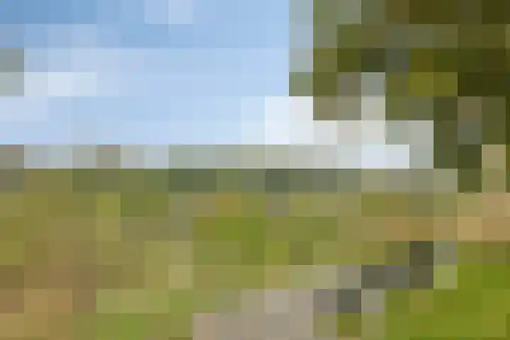 Sint Catharinastraat 7 Elsloo thumbnail 48