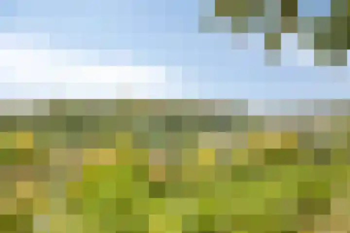 Sint Catharinastraat 7 Elsloo thumbnail 49