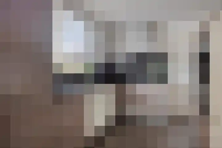 Sint Catharinastraat 7 Elsloo thumbnail 5