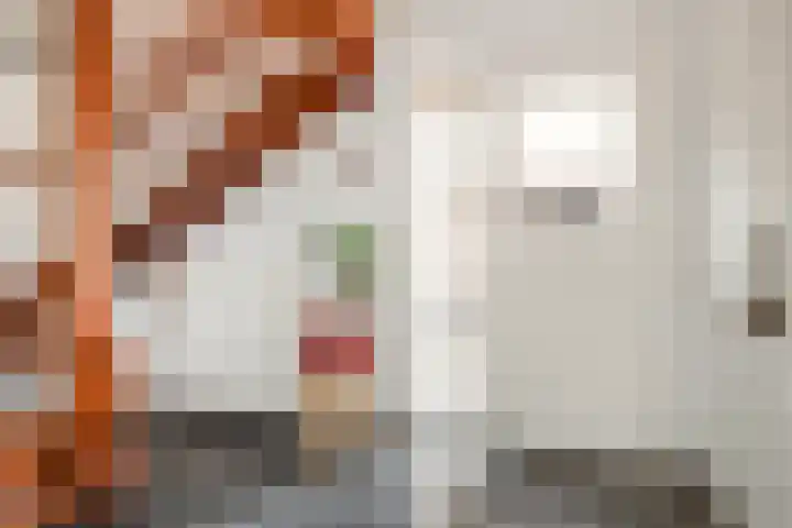 Sint Catharinastraat 8 Elsloo thumbnail 10