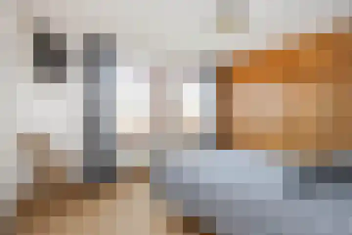 Sint Catharinastraat 8 Elsloo thumbnail 24