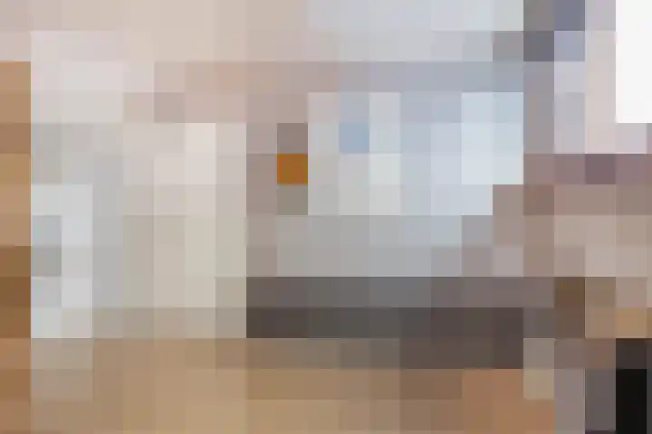Sint Catharinastraat 8 Elsloo thumbnail 33