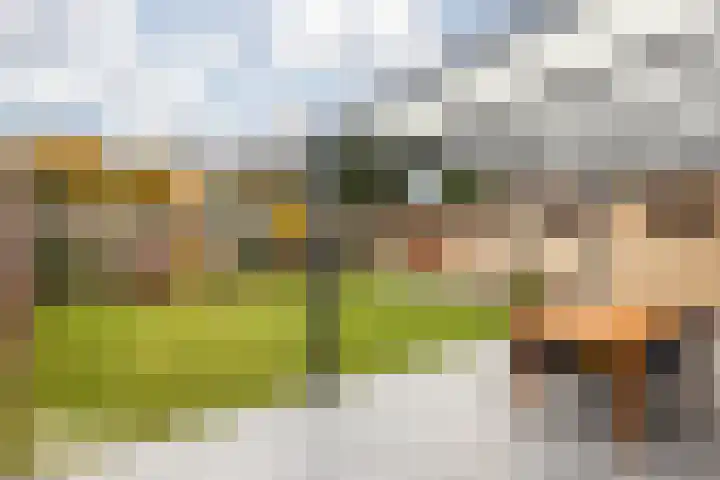 Sint Catharinastraat 8 Elsloo thumbnail 36