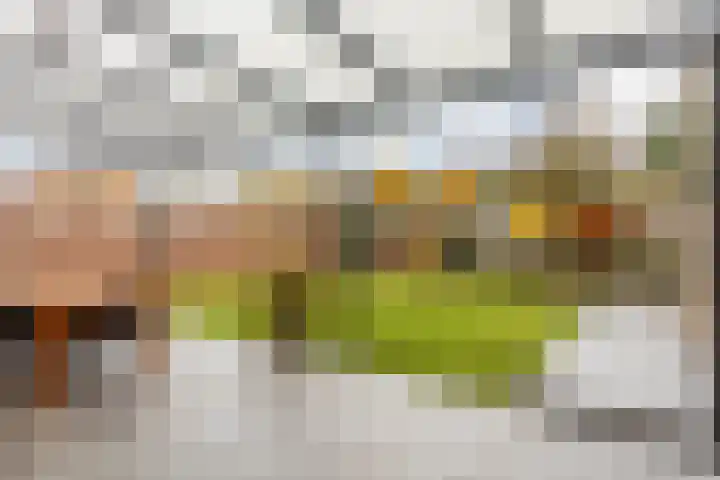 Sint Catharinastraat 8 Elsloo thumbnail 4