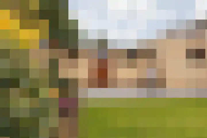 Sint Catharinastraat 8 Elsloo thumbnail 40