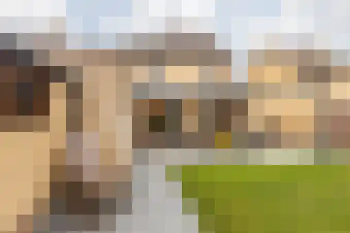 Sint Catharinastraat 8 Elsloo thumbnail 41