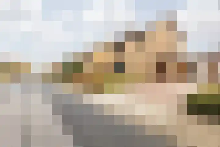Sint Catharinastraat 8 Elsloo thumbnail 6