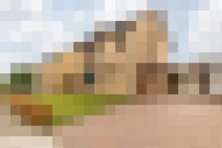 Sint Catharinastraat 8 Elsloo thumbnail 7