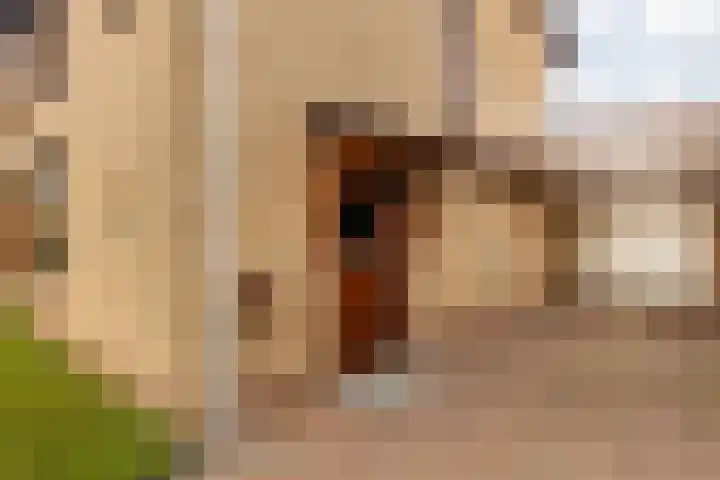 Sint Catharinastraat 8 Elsloo thumbnail 9