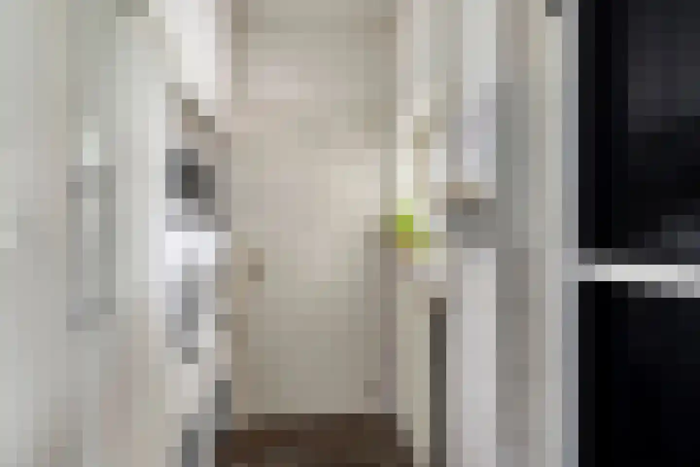 Sint Catharinaweg 2 Mierlo thumbnail 21