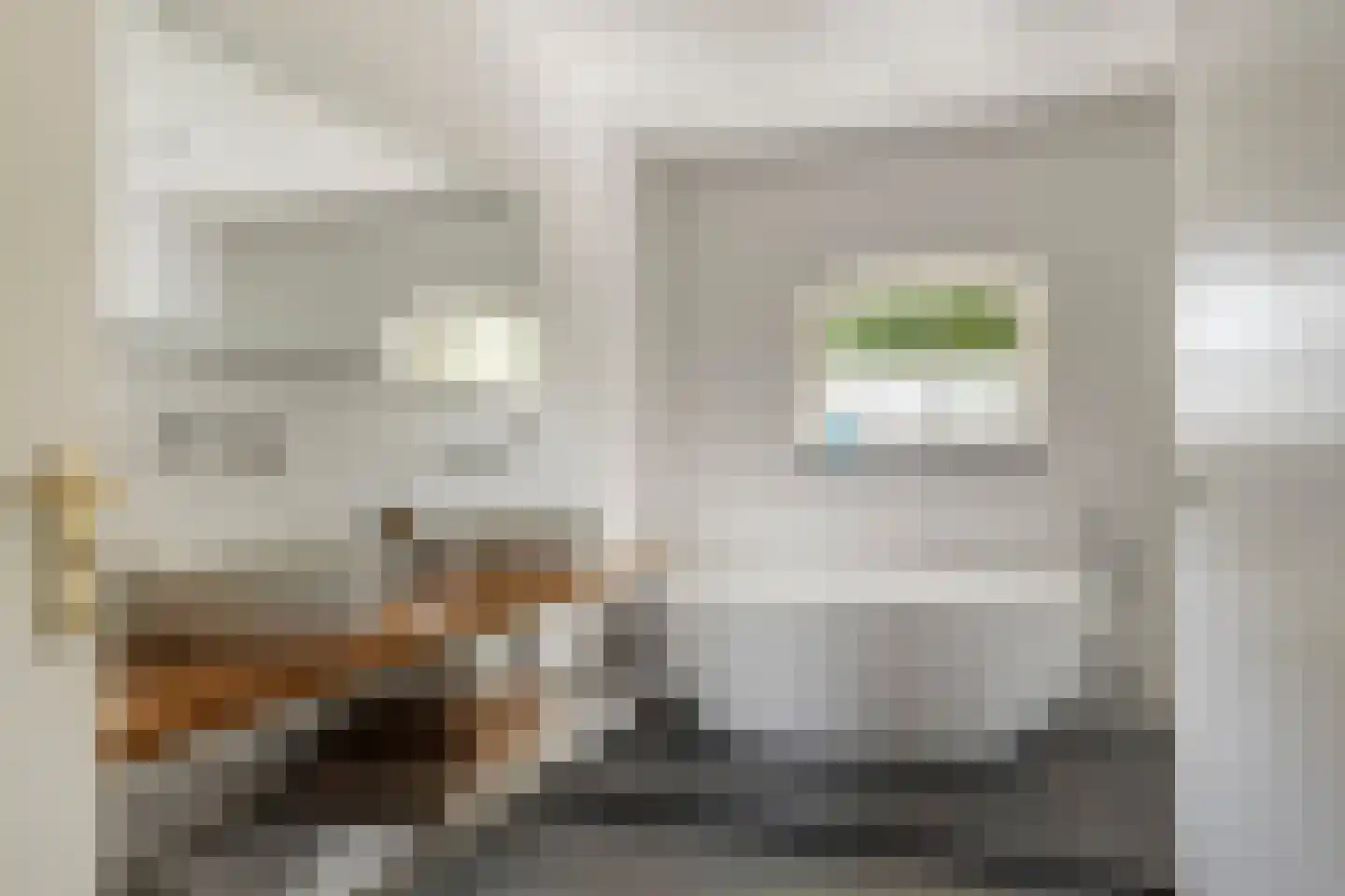 Sint Catharinaweg 2 Mierlo thumbnail 27