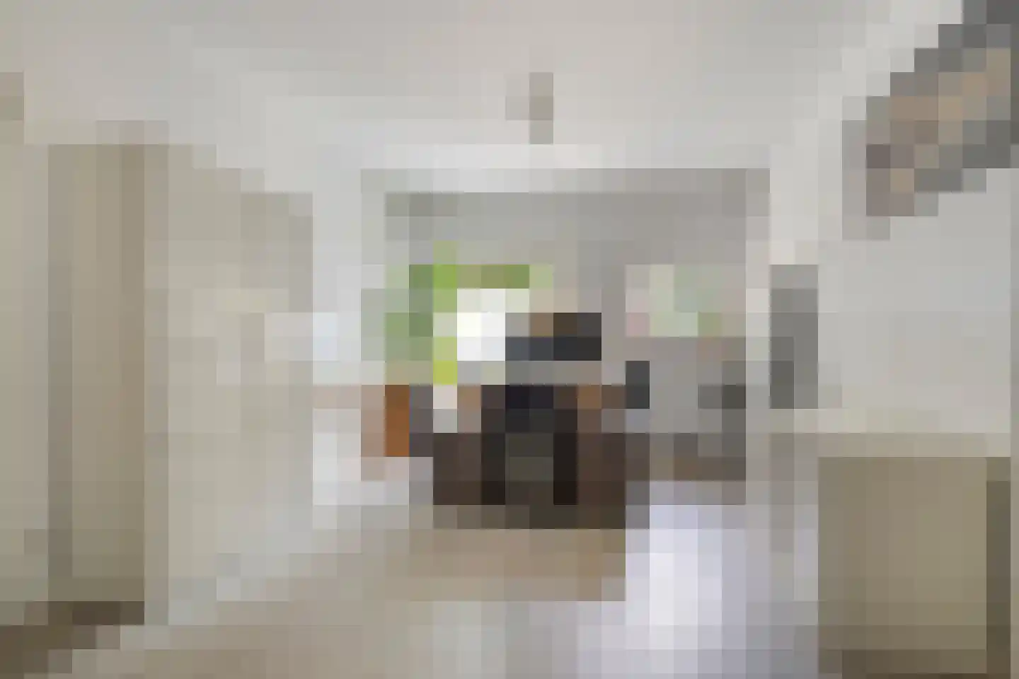 Sint Catharinaweg 2 Mierlo thumbnail 31