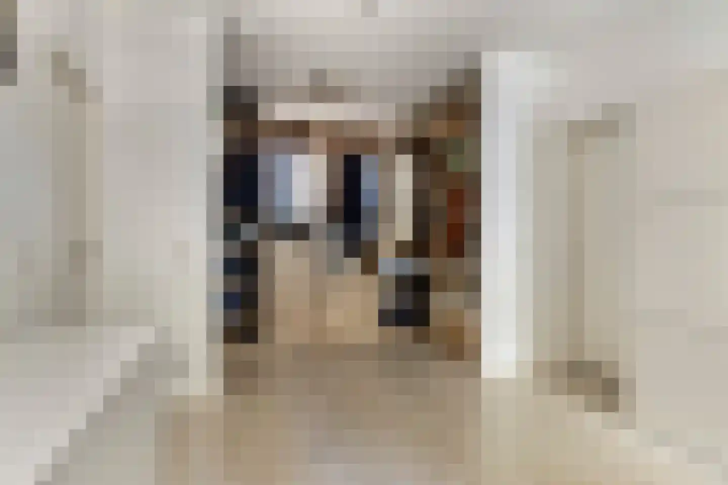 Sint Catharinaweg 2 Mierlo thumbnail 32
