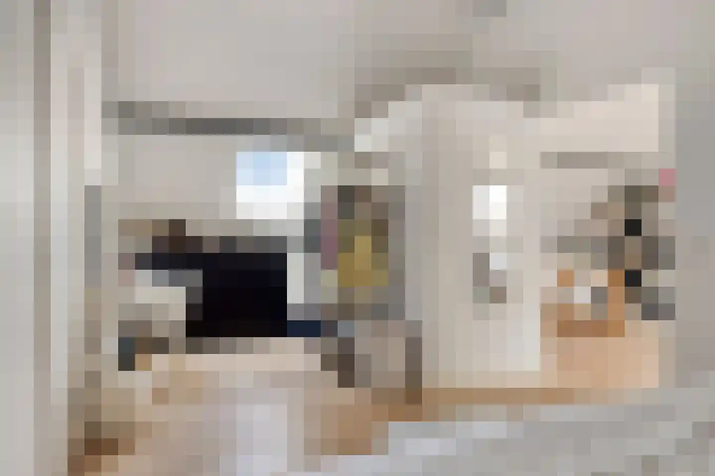 Sint Catharinaweg 2 Mierlo thumbnail 38