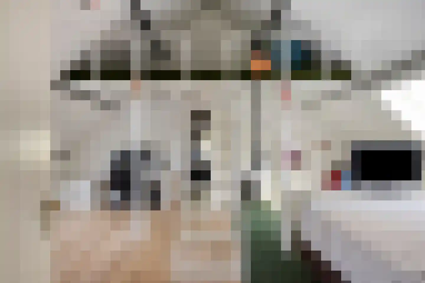 Sint Catharinaweg 2 Mierlo thumbnail 42