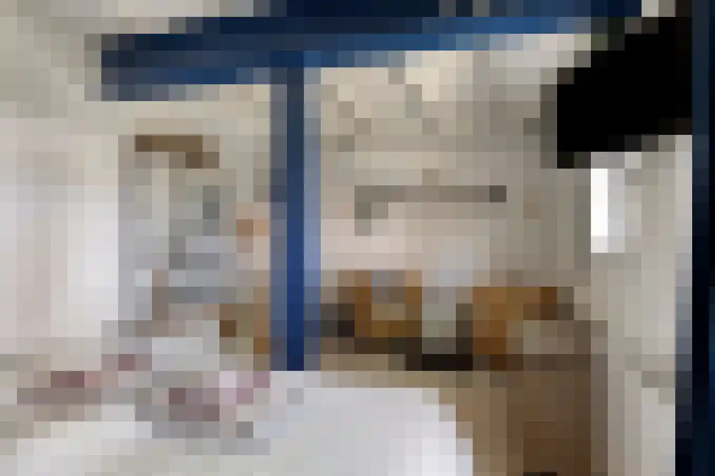 Sint Catharinaweg 2 Mierlo thumbnail 50