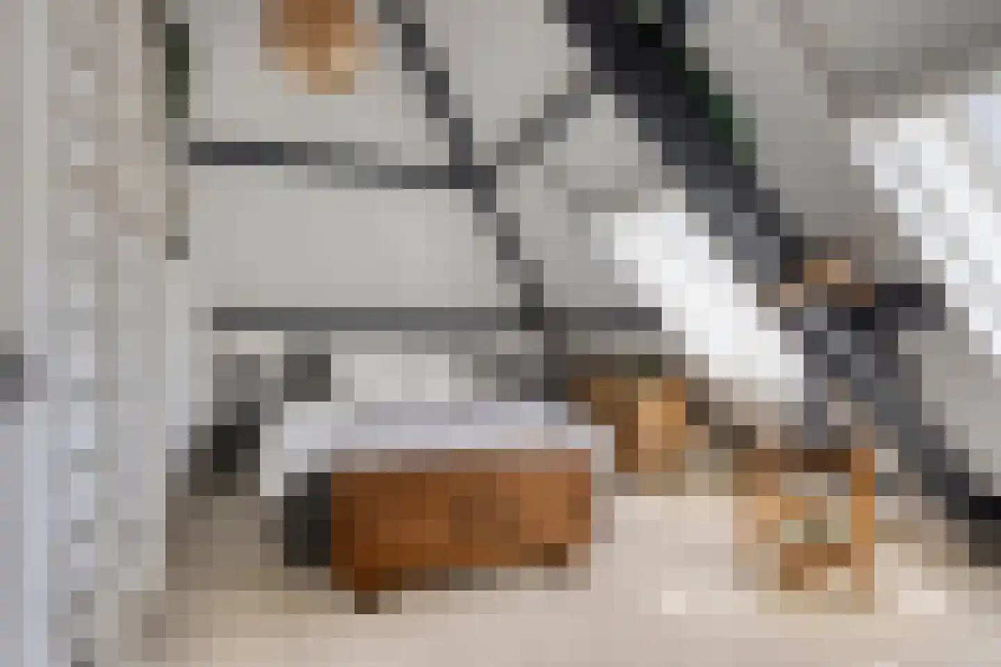 Sint Catharinaweg 2 Mierlo thumbnail 54