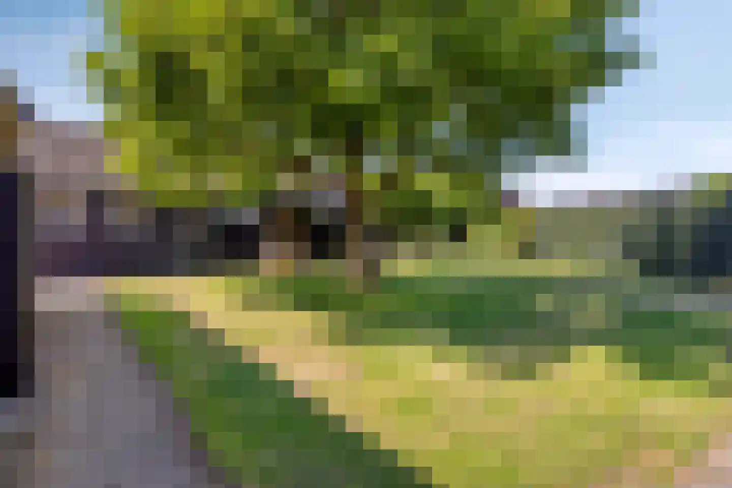 Sint Catharinaweg 2 Mierlo thumbnail 60