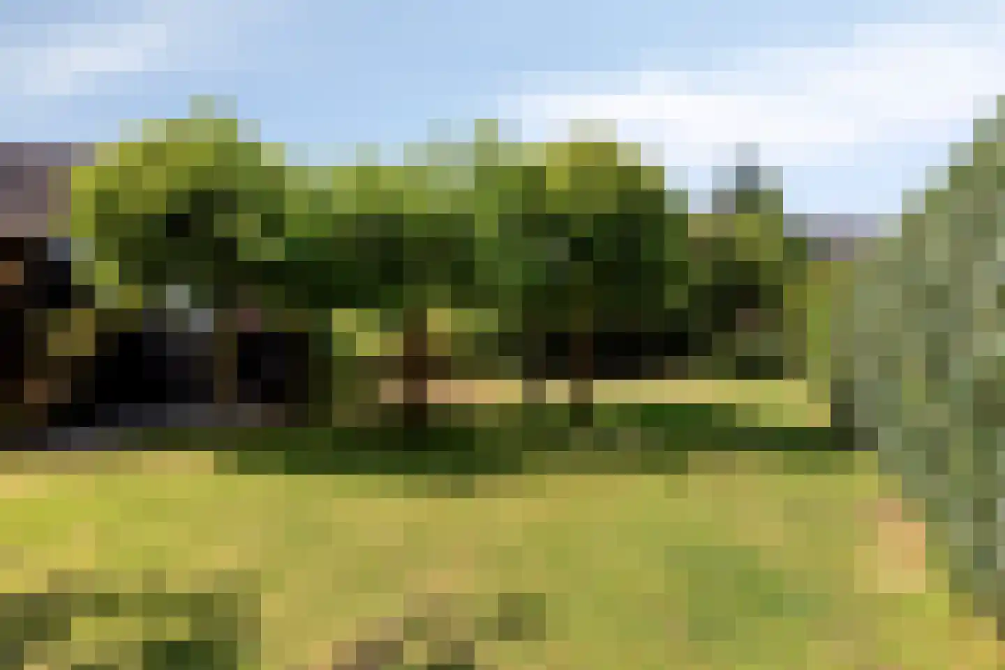 Sint Catharinaweg 2 Mierlo thumbnail 63