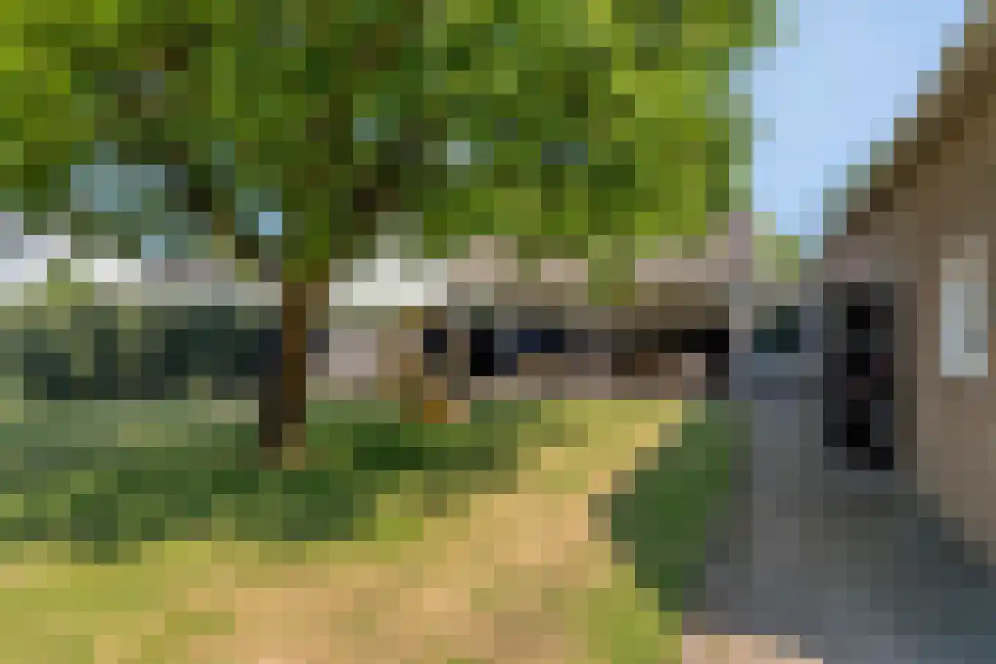 Sint Catharinaweg 2 Mierlo thumbnail 67