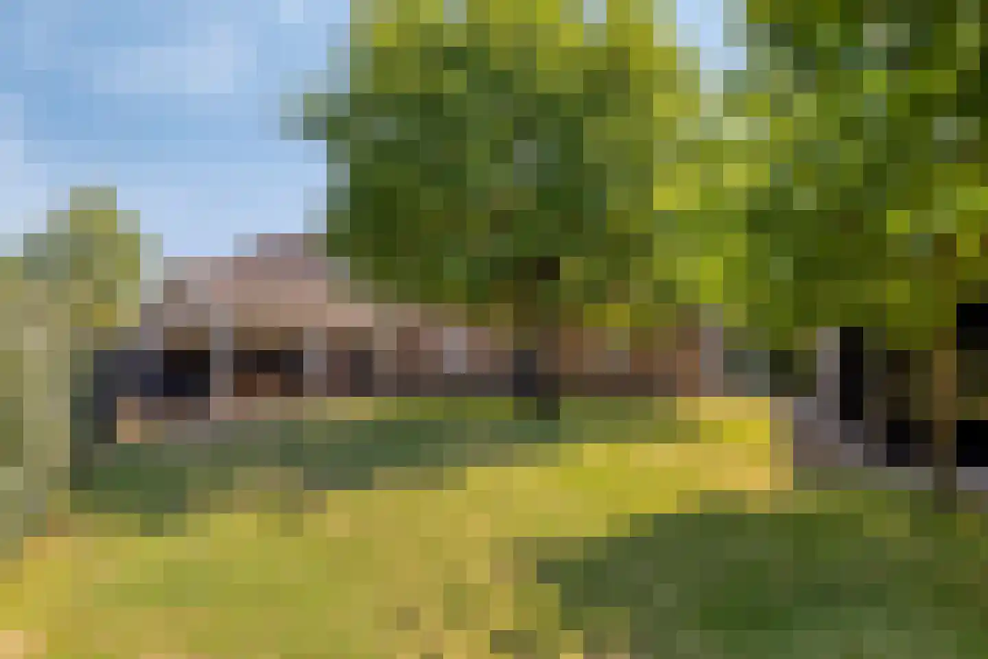 Sint Catharinaweg 2 Mierlo thumbnail 69