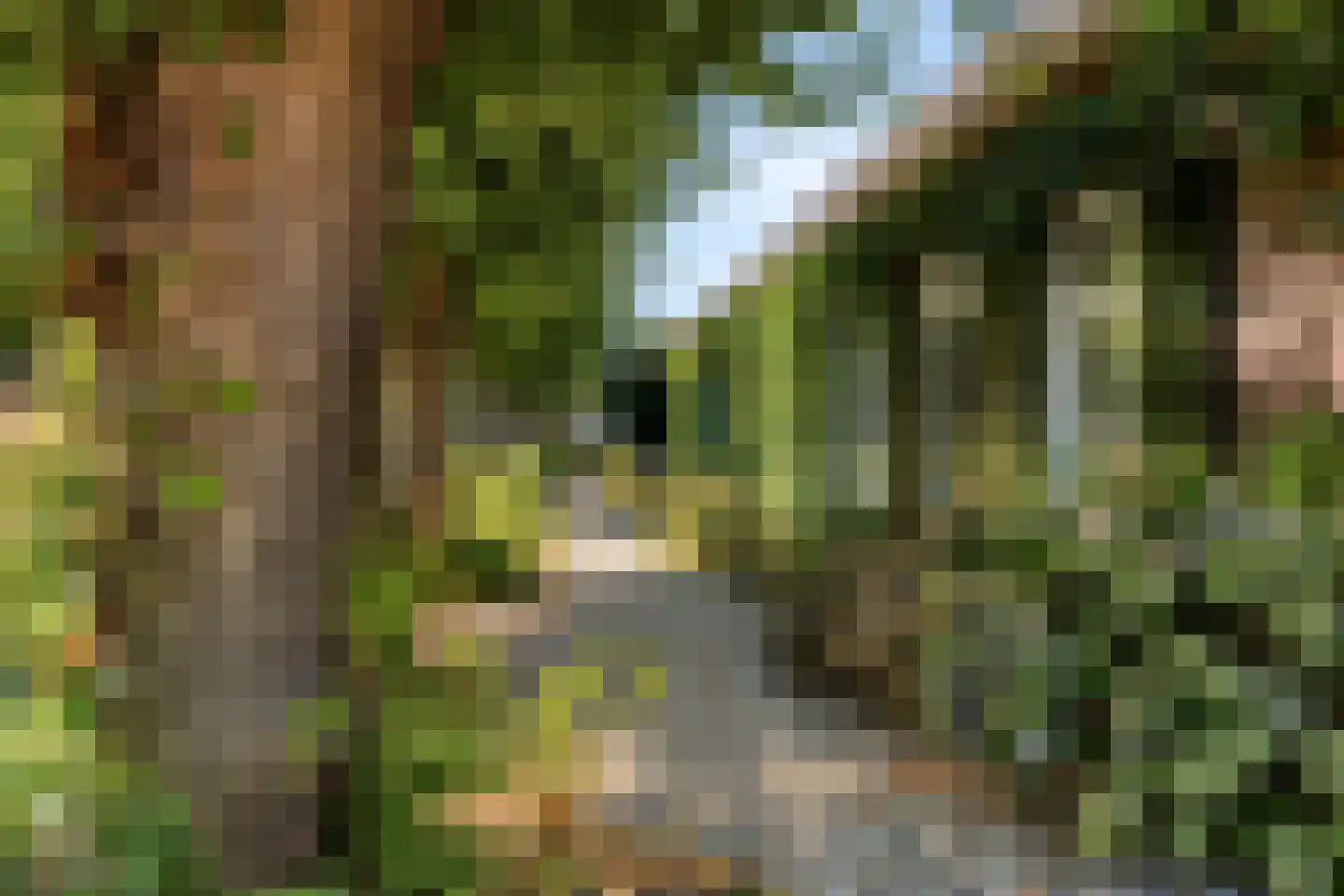 Sint Catharinaweg 2 Mierlo thumbnail 7