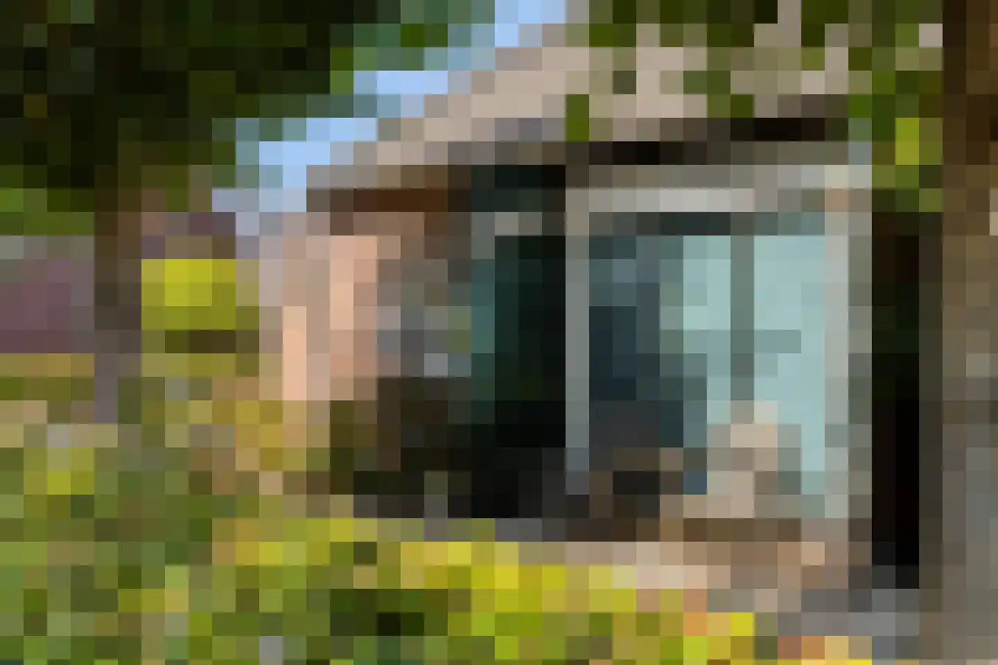 Sint Catharinaweg 2 Mierlo thumbnail 72