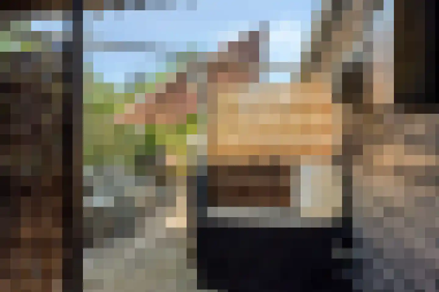 Sint Catharinaweg 2 Mierlo thumbnail 74
