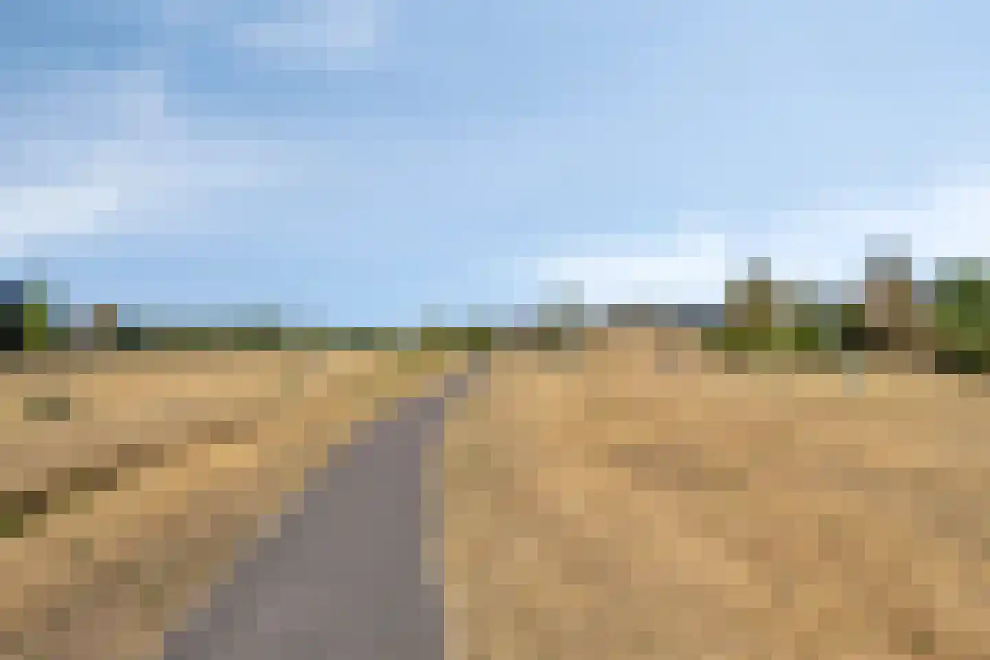 Sint Catharinaweg 2 Mierlo thumbnail 78